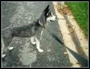 <img0*100:stuff/aj/169023/1.1.jpg>