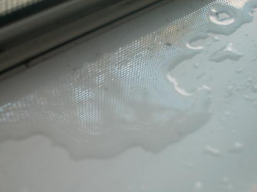 <img500*0:stuff/aj/169023/1245194258.jpg>