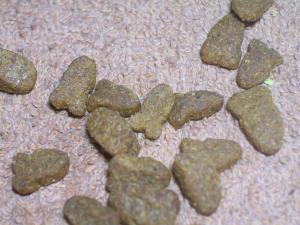 <img300*0:stuff/aj/169023/1247179387.jpg>