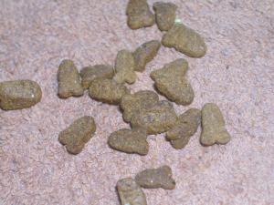 <img300*0:stuff/aj/169023/1247179408.jpg>