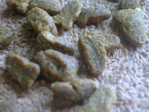 <img300*0:stuff/aj/169023/1247179488.jpg>