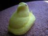 <img100*0:stuff/aj/169023/1247179841.jpg>