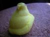 <img100*0:stuff/aj/169023/1247179893.jpg>