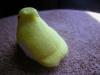 <img100*0:stuff/aj/169023/1247179992.jpg>