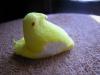 <img100*0:stuff/aj/169023/1247180085.jpg>