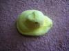 <img100*0:stuff/aj/169023/1247180639.jpg>