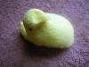<img100*0:stuff/aj/169023/1247180748.jpg>