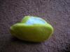 <img100*0:stuff/aj/169023/1247180861.jpg>