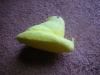 <img100*0:stuff/aj/169023/1247180902.jpg>