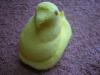 <img100*0:stuff/aj/169023/1247180994.jpg>