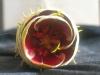 <img100*0:stuff/aj/169023/1247599402.jpg>