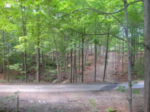<img300*0:stuff/aj/169023/1247698246.jpg>