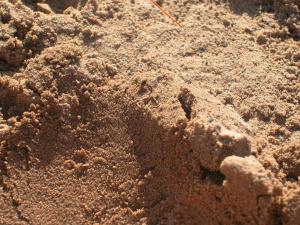 <img300*0:stuff/aj/169023/1247698411.jpg>