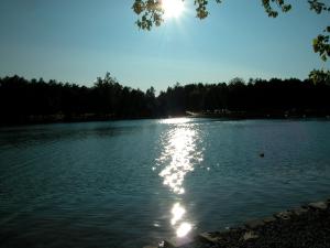 <img300*0:stuff/aj/169023/1247698773.jpg>