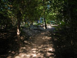 <img300*0:stuff/aj/169023/1248131668.jpg>