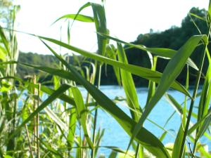 <img300*0:stuff/aj/169023/1248131691.jpg>