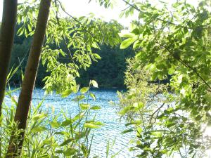 <img300*0:stuff/aj/169023/1248131794.jpg>