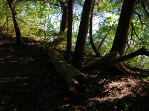 <img300*0:stuff/aj/169023/1248131947.jpg>