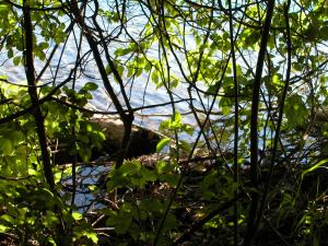 <img300*0:stuff/aj/169023/1248132329.jpg>