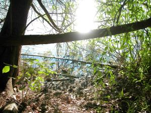 <img300*0:stuff/aj/169023/1248132373.jpg>
