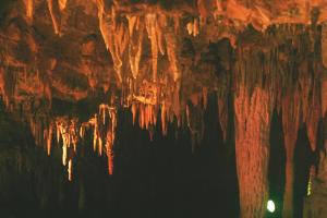 <img300*0:stuff/aj/169023/1251317117.jpg>