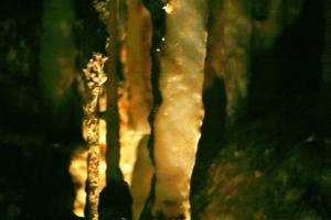 <img300*0:stuff/aj/169023/1251319142.jpg>