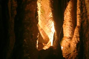 <img300*0:stuff/aj/169023/1251319224.jpg>