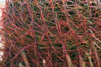 <img200*0:stuff/aj/169023/1251754705.jpg>