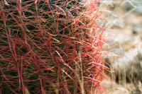 <img200*0:stuff/aj/169023/1251754731.jpg>