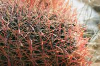 <img200*0:stuff/aj/169023/1251754776.jpg>