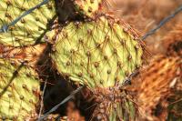 <img200*0:stuff/aj/169023/1251755425.jpg>