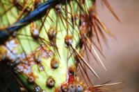 <img200*0:stuff/aj/169023/1251755637.jpg>