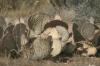 <img100*0:stuff/aj/169023/1251756195.jpg>