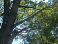 <img200*0:stuff/aj/169023/1251759033.jpg>