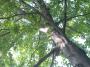 <img90*0:stuff/aj/169023/1251759115.jpg>