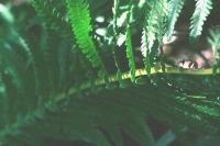 <img200*0:stuff/aj/169023/1252016217.jpg>