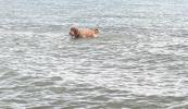 <img0*100:stuff/aj/169023/1252020026.jpg>