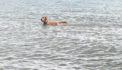 <img0*100:stuff/aj/169023/1252020059.jpg>