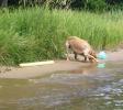 <img0*100:stuff/aj/169023/1252020449.jpg>