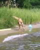 <img0*100:stuff/aj/169023/1252020464.jpg>