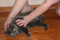 <img200*0:stuff/aj/169023/1253646424.jpg>