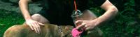<img200*0:stuff/aj/169023/1253646439.jpg>