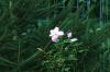 <img100*0:stuff/aj/169023/1253987286.jpg>