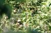 <img100*0:stuff/aj/169023/1253987317.jpg>