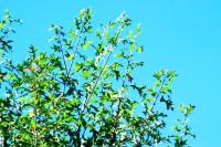 <img200*0:stuff/aj/169023/1253988453.jpg>