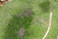 <img200*0:stuff/aj/169023/1254153327.jpg>
