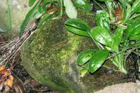 <img200*0:stuff/aj/169023/1254153465.jpg>