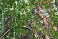<img200*0:stuff/aj/169023/1254153534.jpg>
