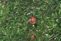 <img200*0:stuff/aj/169023/1254154383.jpg>