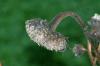 <img100*0:stuff/aj/169023/1254156297.jpg>